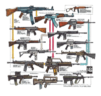 Sturmgewehr Family Tree